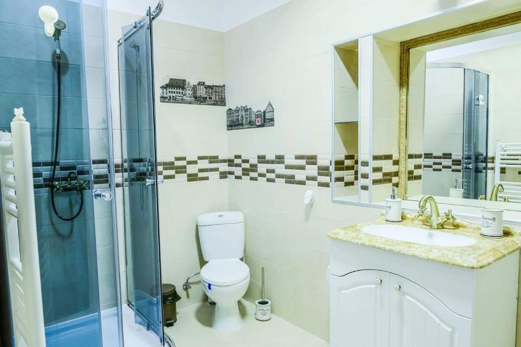 Mary Apartment Old Town 布拉索夫 外观 照片