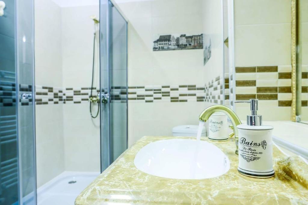 Mary Apartment Old Town 布拉索夫 外观 照片